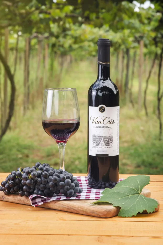 cabernet-sauvignon