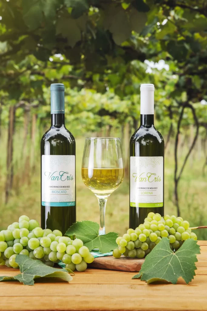 lorena-moscato